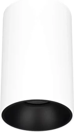 Точечный светильник Arlight SP-SALT-R95-20W Day4000 WH-BK 40 deg / 056740 — фото 1
