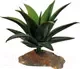 Декорация для террариума Lucky Reptile Succulent / IF-90 — фото 2