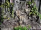 Декорация для террариума Lucky Reptile Waterfall / WF-9 — фото 4