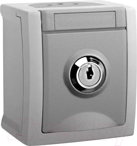 Розетка Panasonic WPTC42192GR-RU