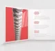 Струны для электрогитары D'Addario XSE1052 — фото 7