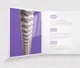 Струны для электрогитары D'Addario XSE1149 — фото 10