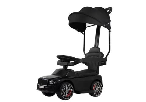 Каталка детская RiverToys Z005ZZ-TP (черный)